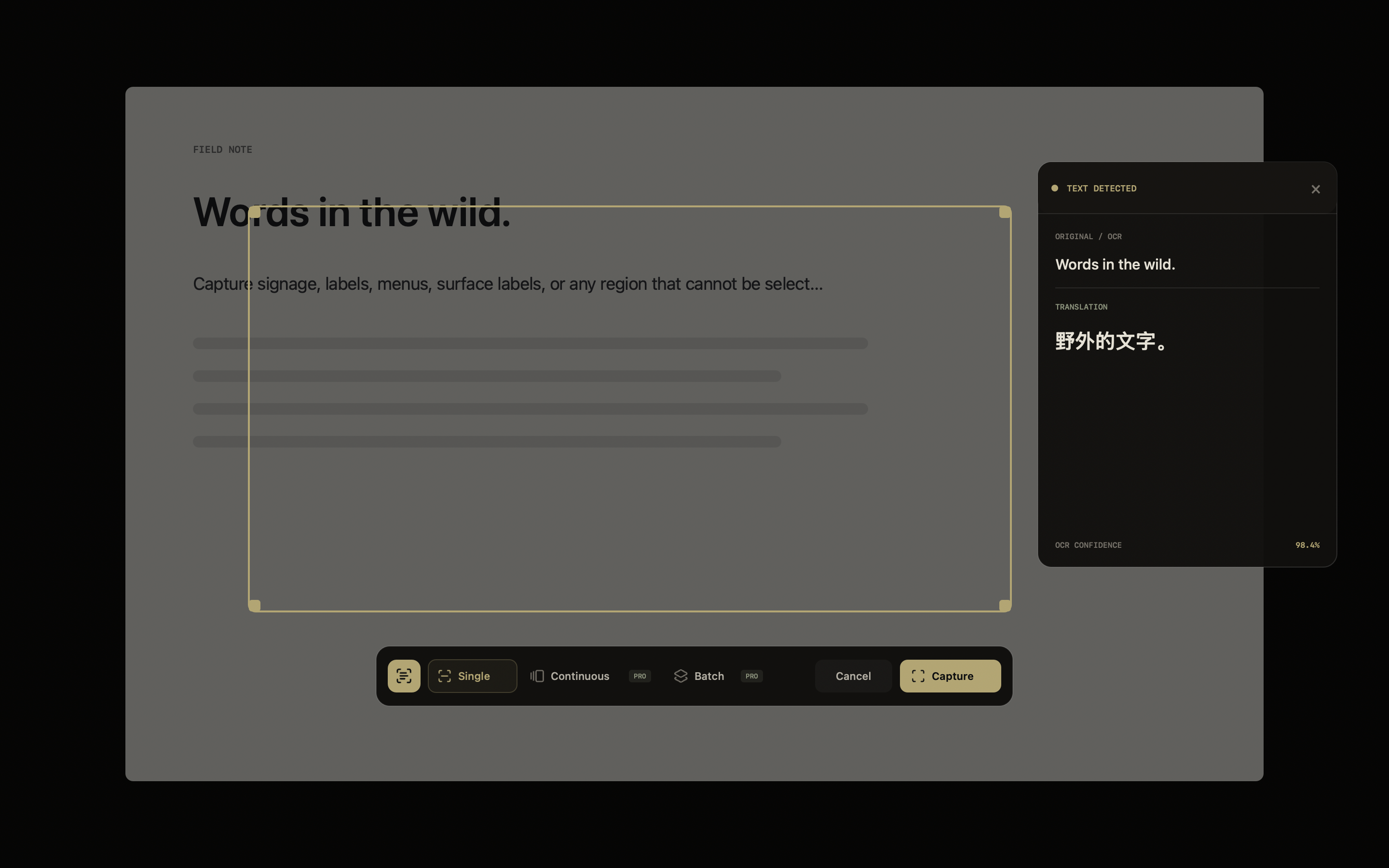 Lemvia Screen OCR